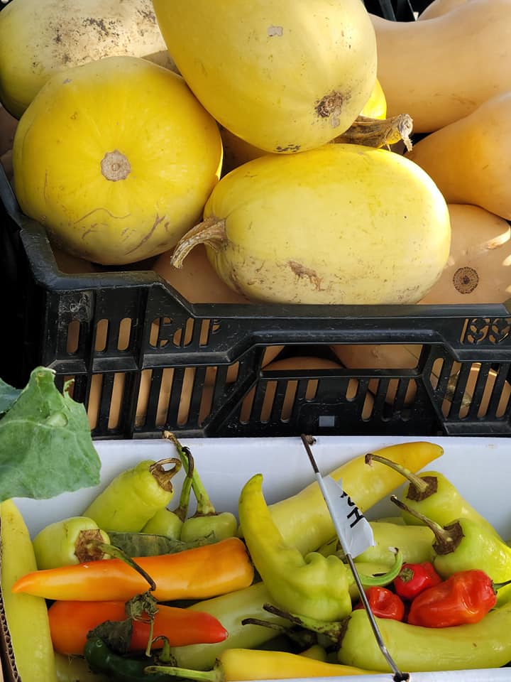 2021 Harvest Market23